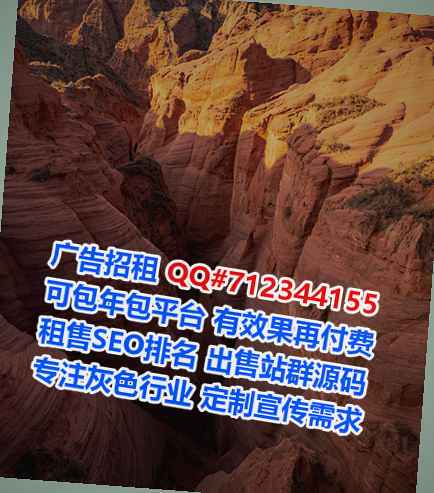 新干借腹生子计算机有限公司